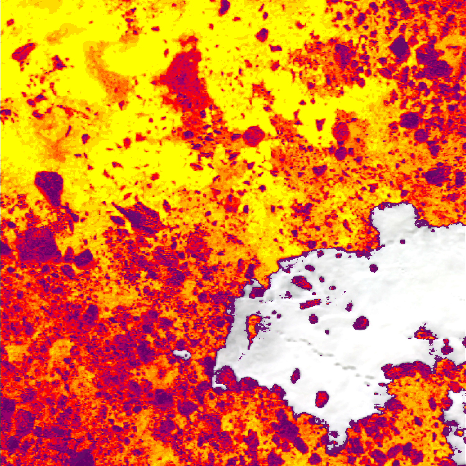 Int Day of Women and Girls in Science 2026.png