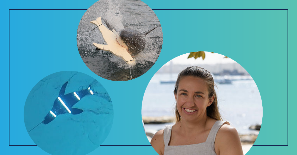 The lights which could make surfboards invisible to great white sharks