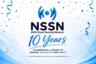 NSSN 10th Anniversary Celebration