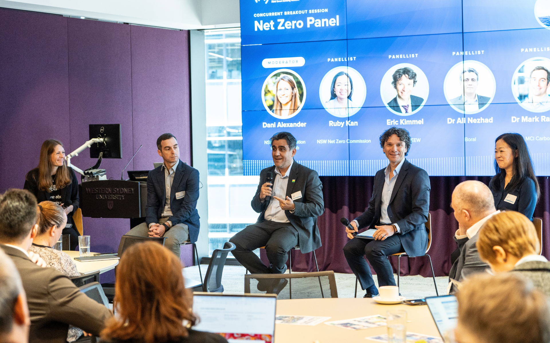 Ambitious NSW Net Zero Panel.png