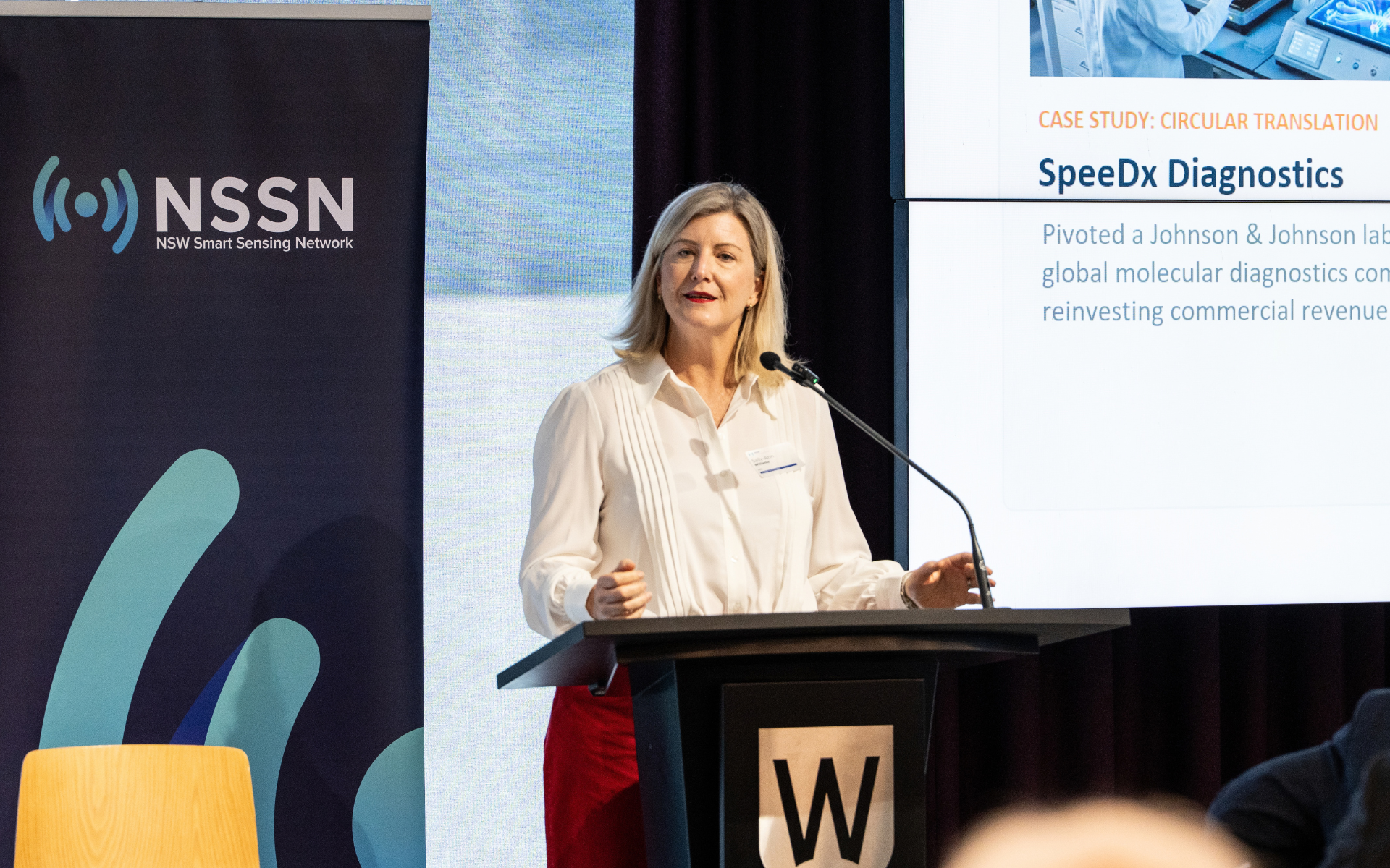 Ambitious NSW Sally-Ann Williams 3.png