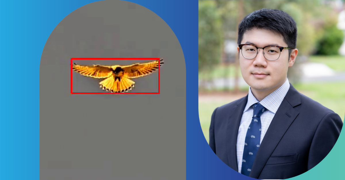 AI-powered cameras could boost bird monitoring at wind farms