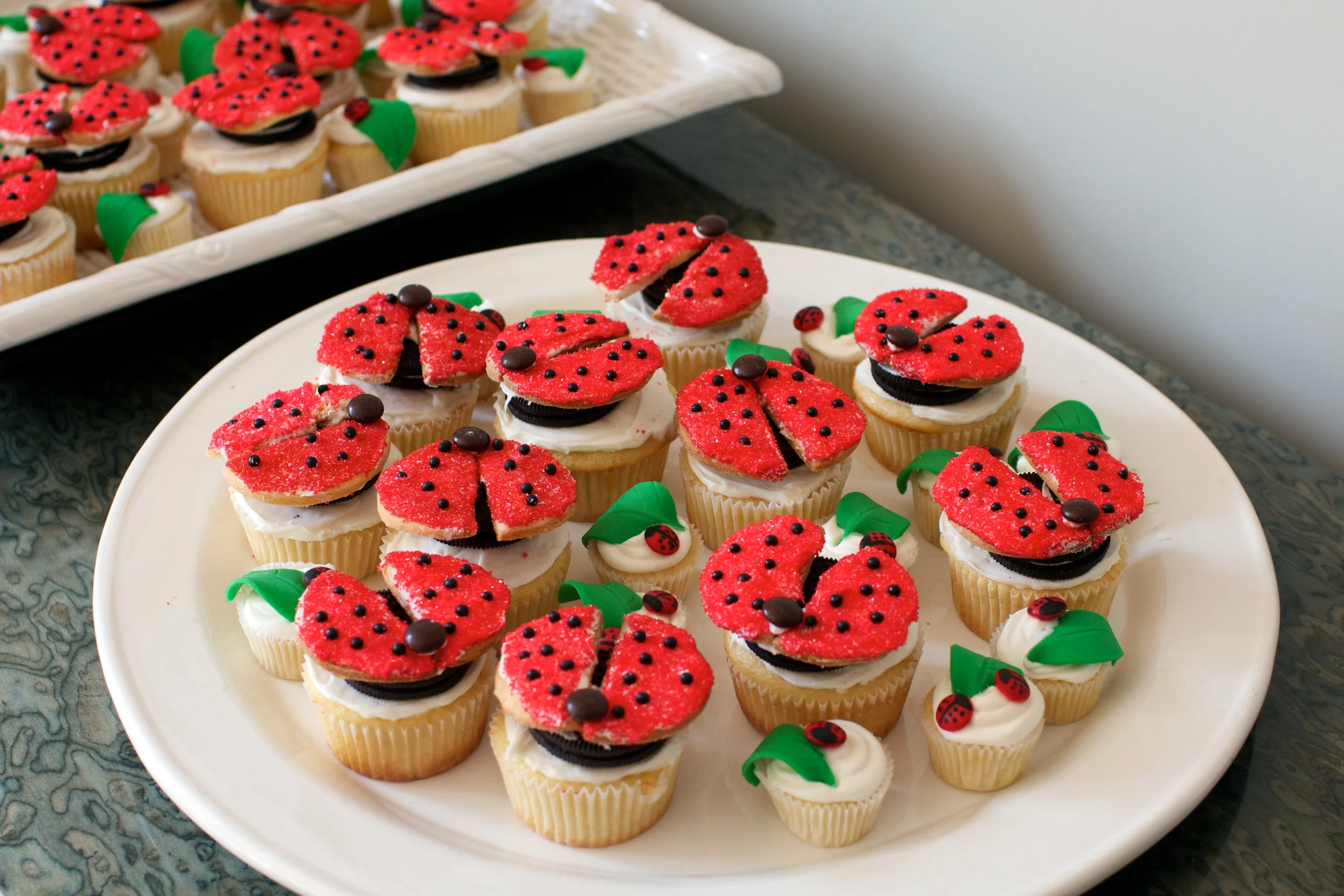 Ladybugs_Together 048.jpg