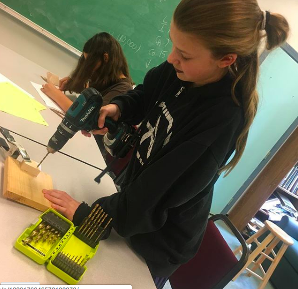 Curriculum and Grades — Compass School Vermont