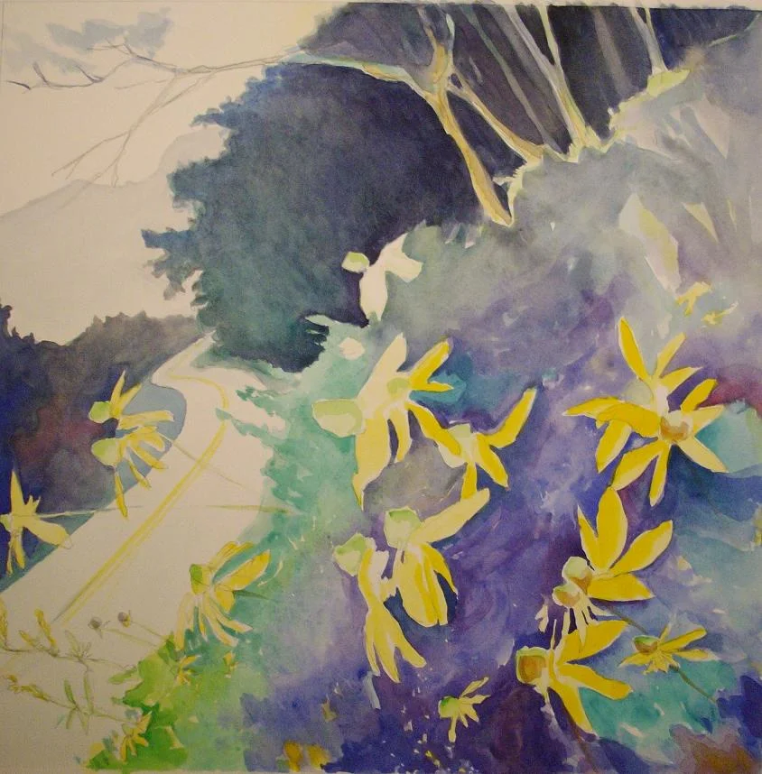 Mountains 2010 - Milepost 301