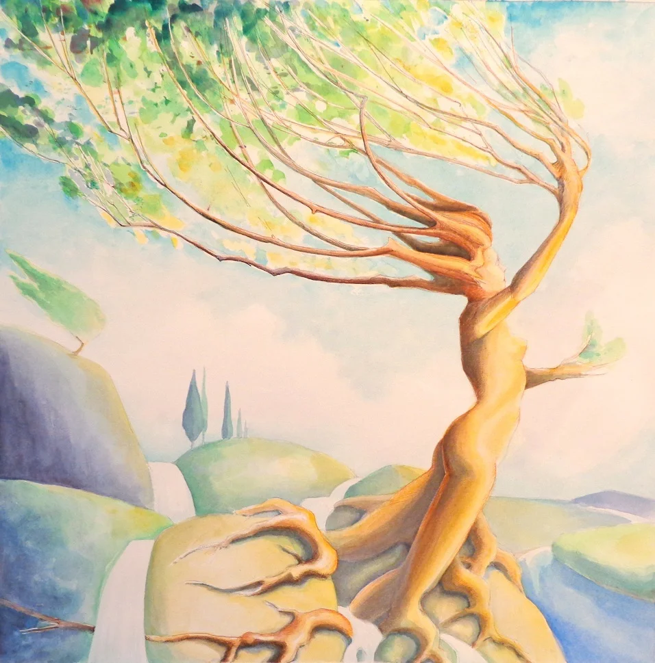 Dryad 3 - Pollarded Willow