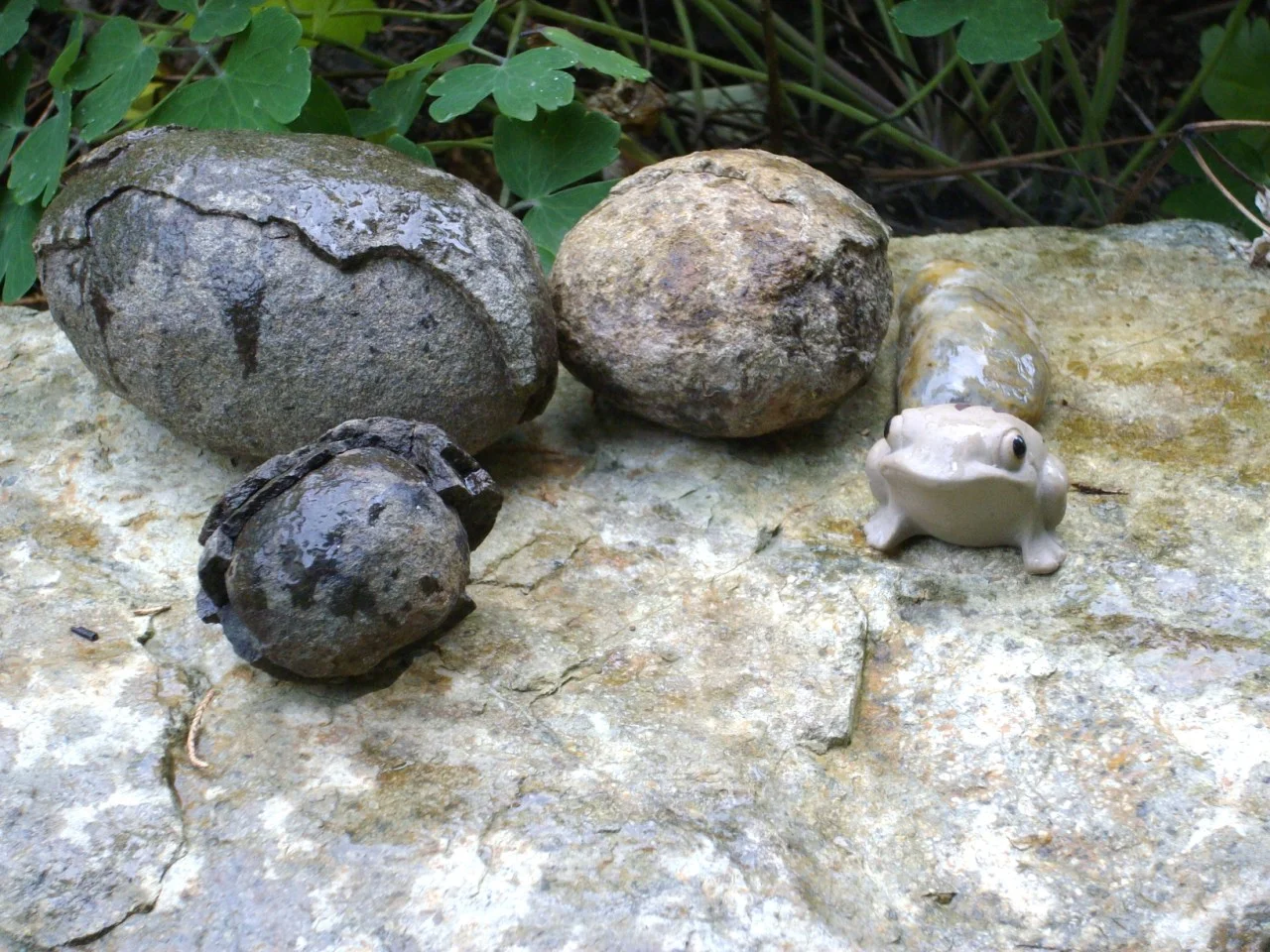 Grenouille #22 - Pillow Basalts (from Way Back)