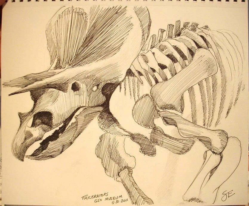 Triceratops Skeleton - Museum of Science - Greensboro, NC