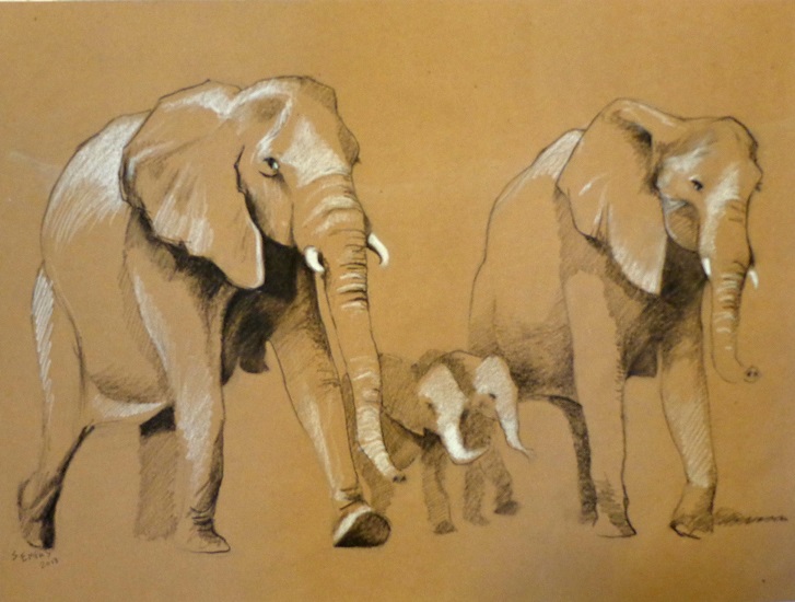 Elephants