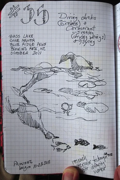 Grebes are fascinating