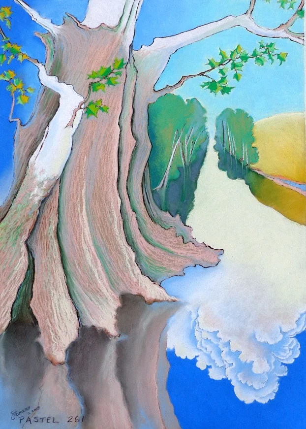  The Other Sky - or - Old Man Sycamore 