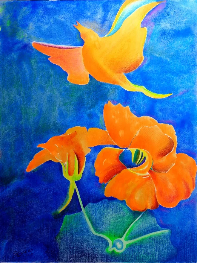 Nasturtiums