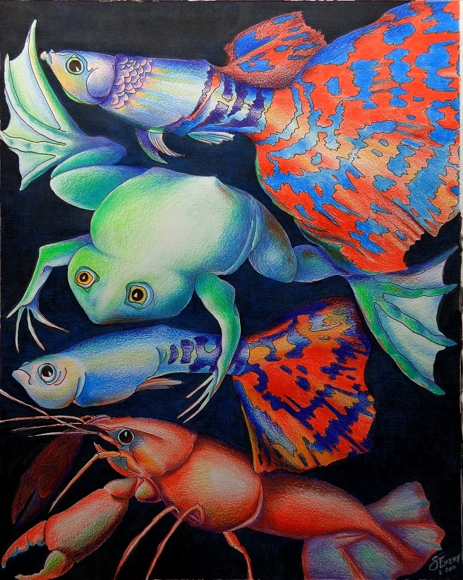 Four Water Creatures