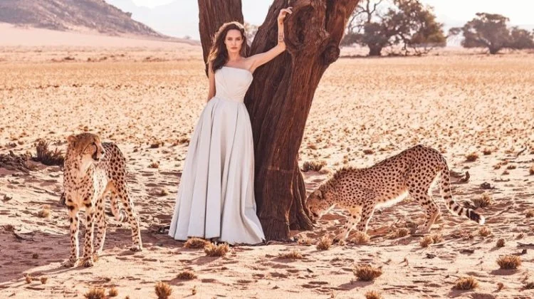 Angelina-Jolie-Harpers-Bazaar-November-2017-Cover-Photoshoot04-750x420.jpg