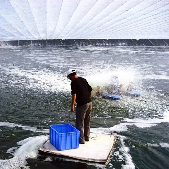 Biofloc Systems in Aquaculture: How Harnessing Beneficial Bacteria Is Revolutionizing Aquaculture