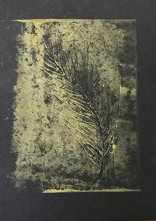 pine linocrop.jpg