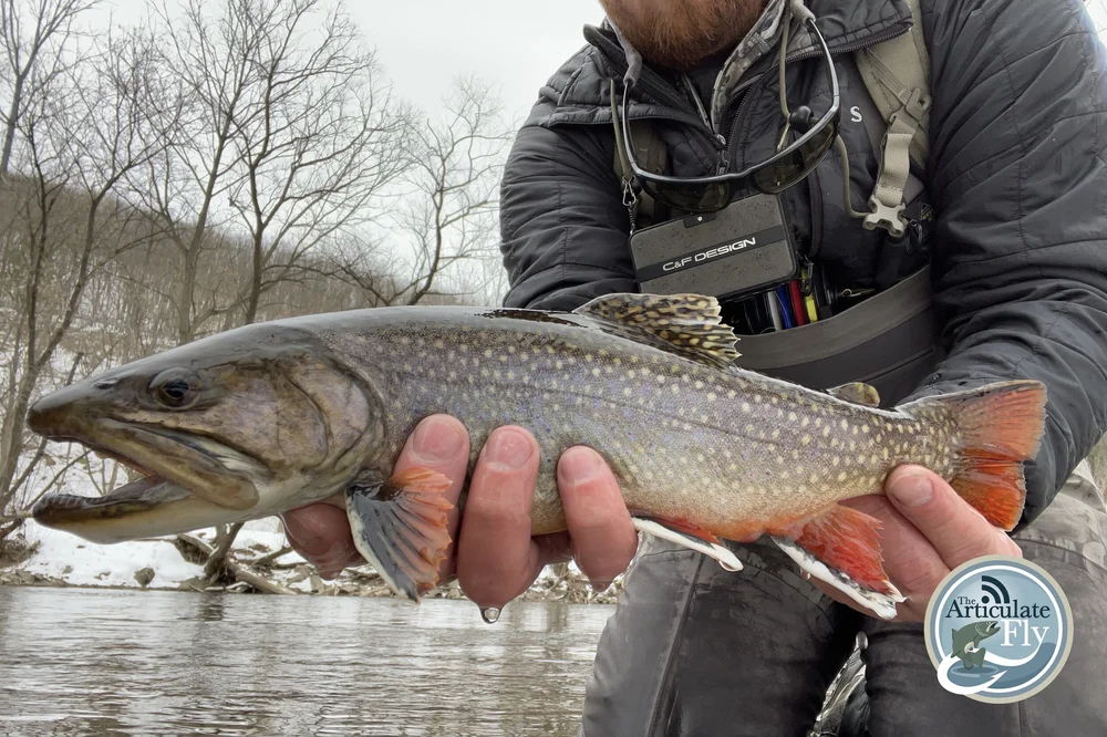 Fly Fishing Podcast The Articulate Fly