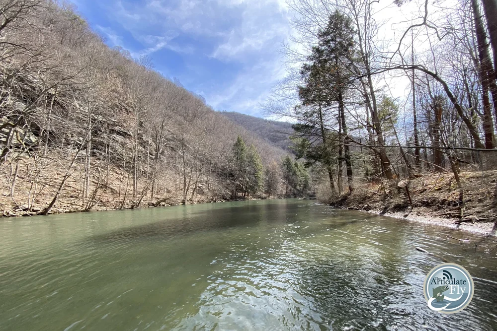 Fly Fishing Podcast The Articulate Fly