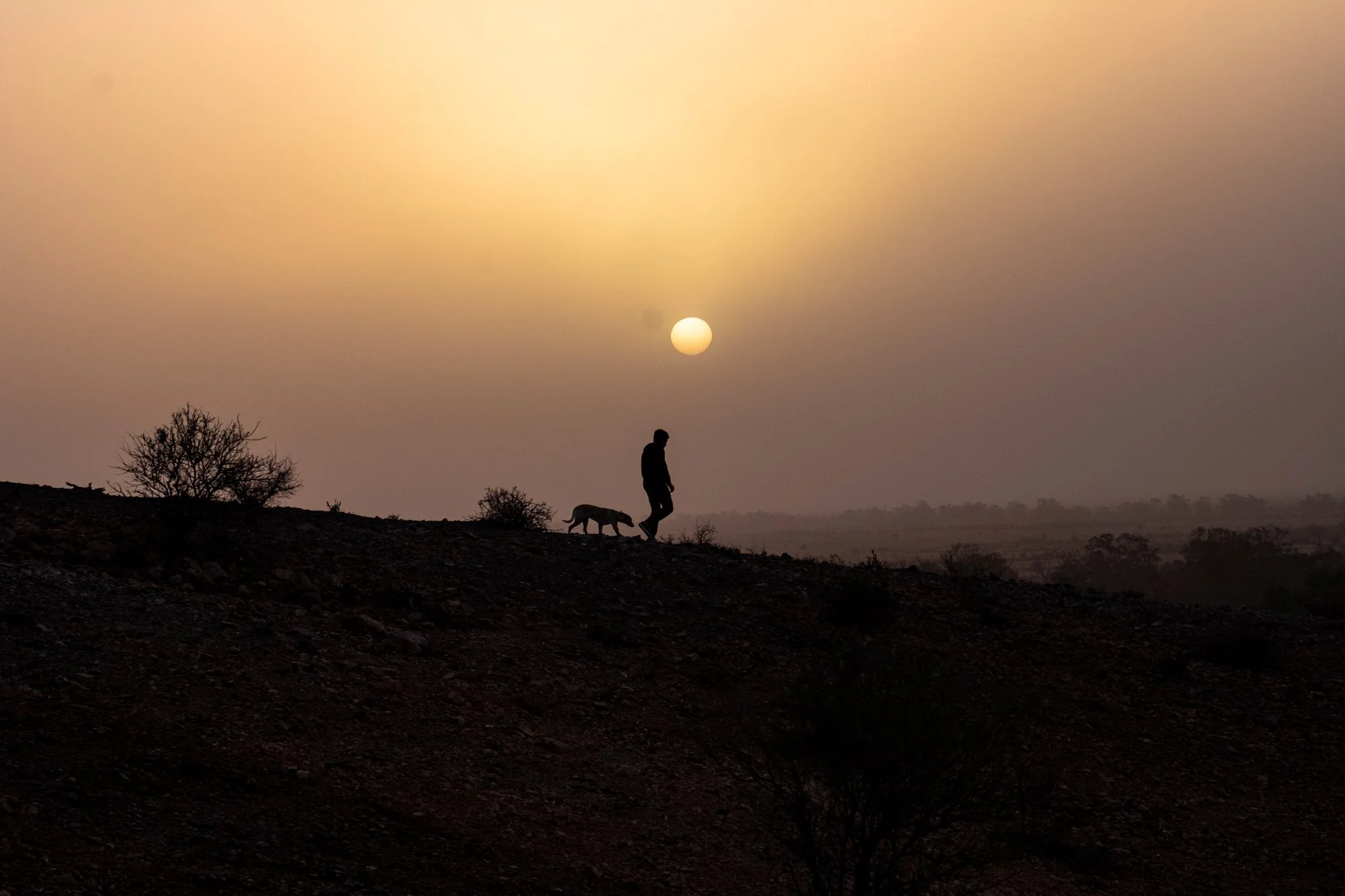 %22Buckley's Chance%22_.jpg