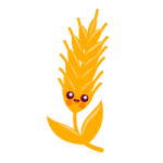 4444444444.png