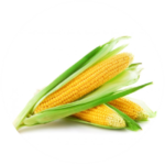 111111.png