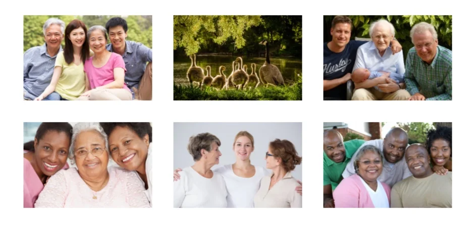 Screen+Shot+2019-06-25+at+6.23.53+PM.jpg