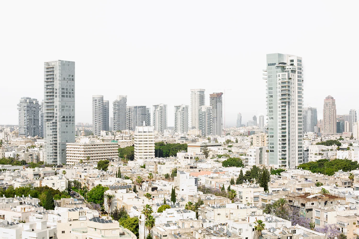 NivRozenberg_TLV02.jpg