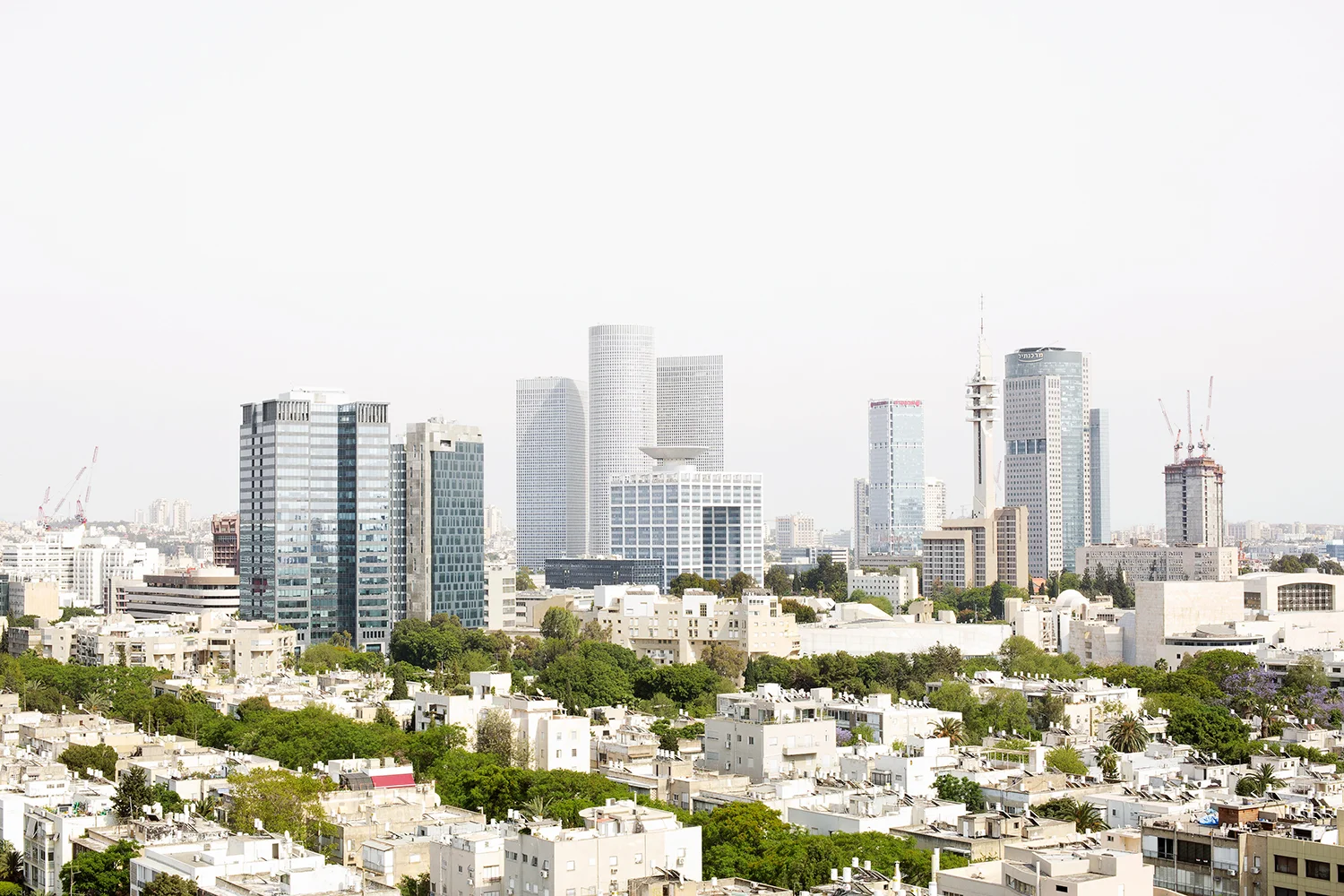 NivRozenberg_TLV03.jpg