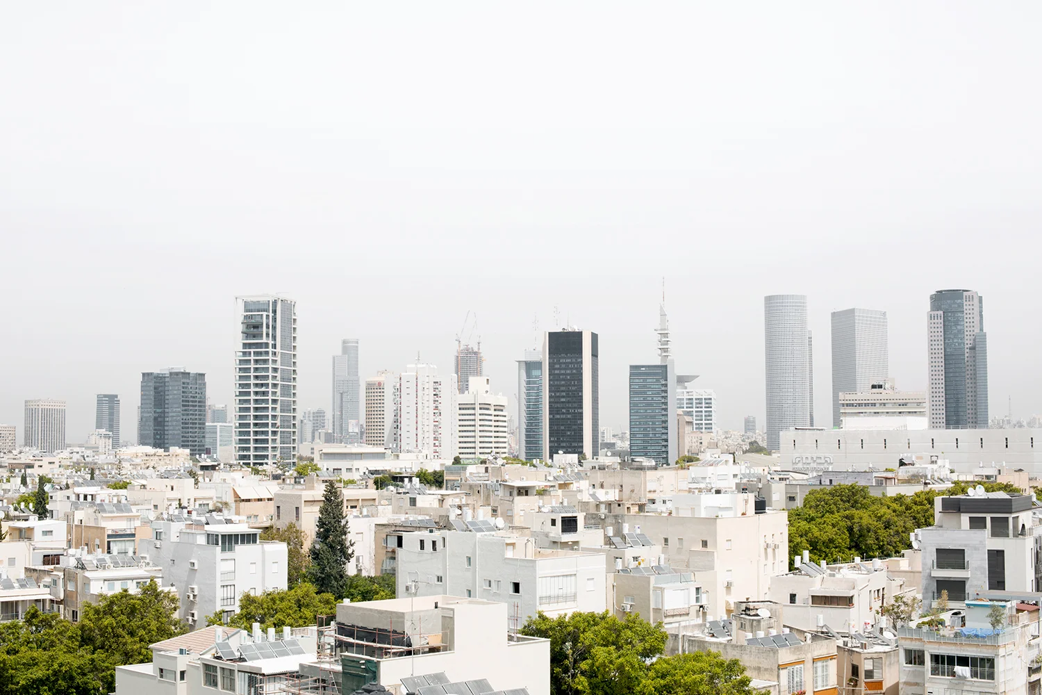 NivRozenberg_TLV05.jpg
