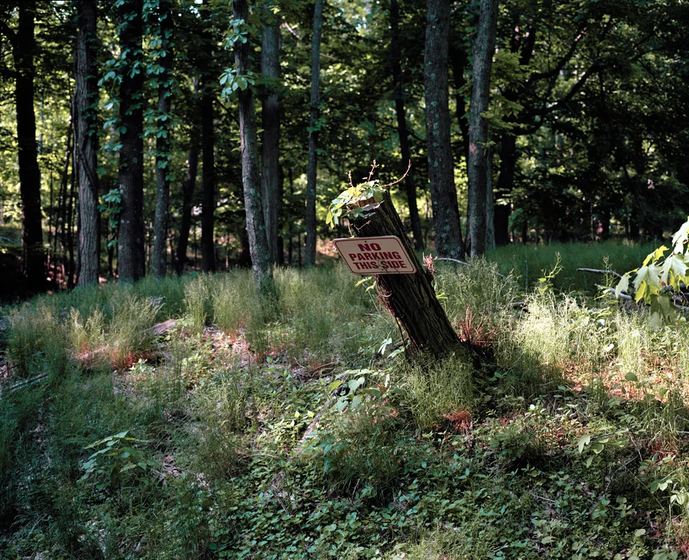 NivRozenberg_Ashokan_09.jpg