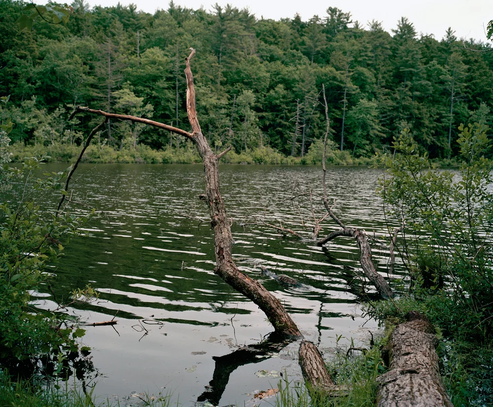 NivRozenberg_Ashokan_012.jpg