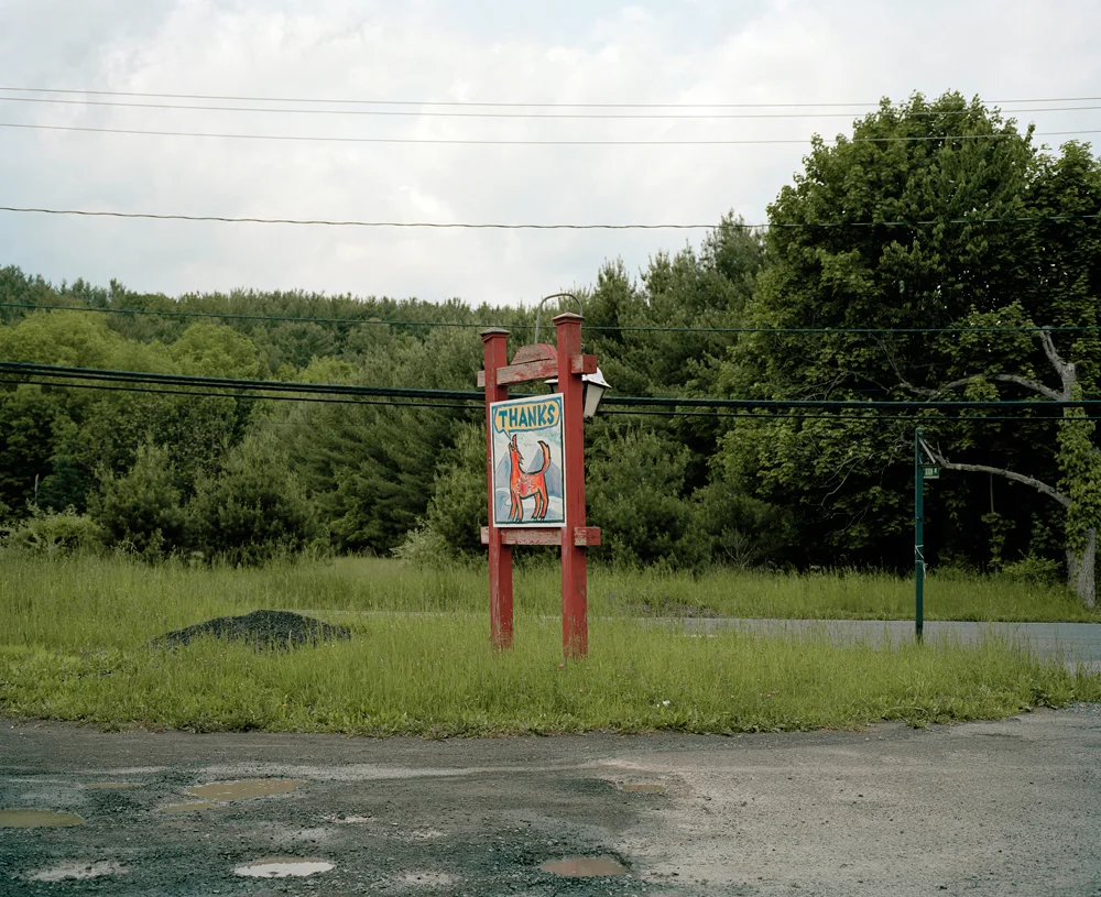 NivRozenberg_Ashokan_017.jpg