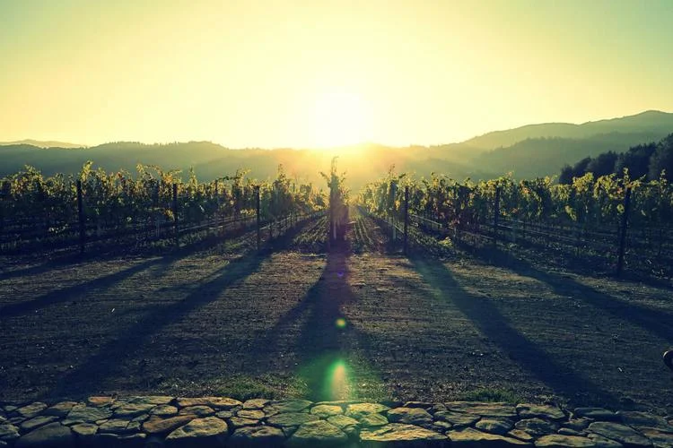 napa.jpg