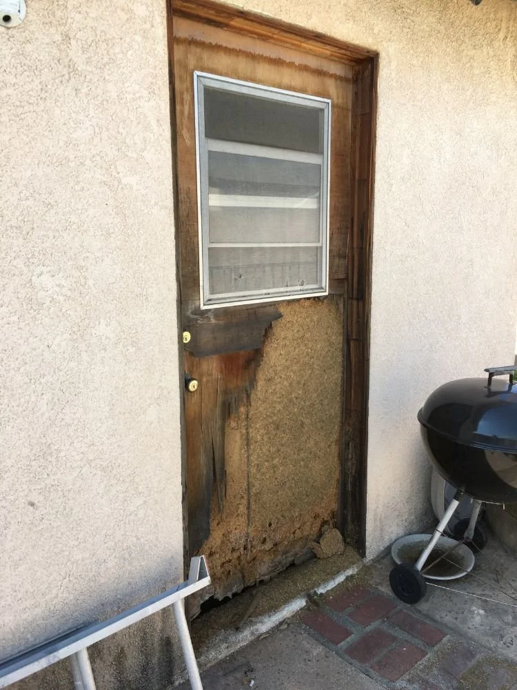 Door1.jpg