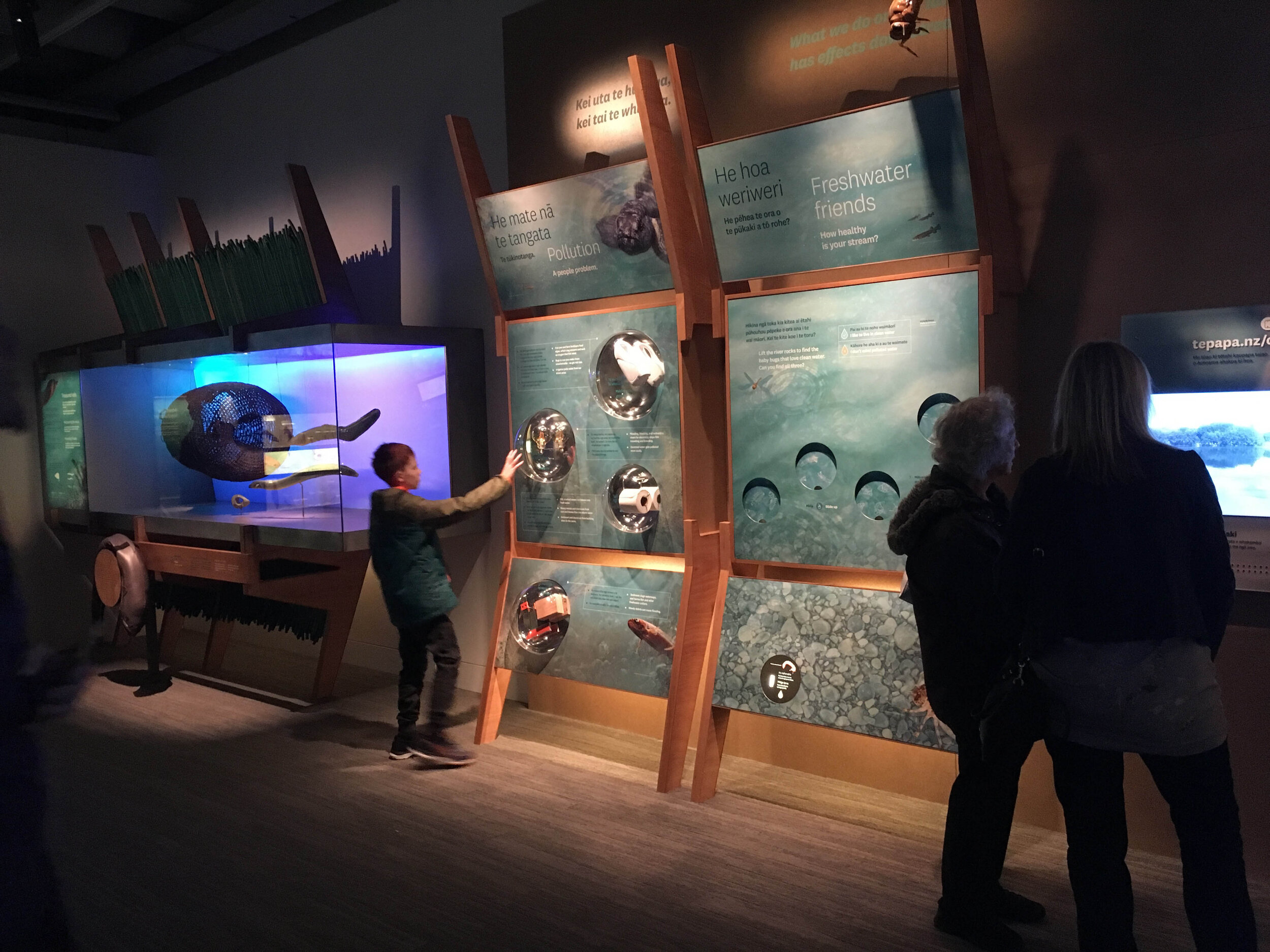 Nat Hist Single Web IMG_1406.jpg