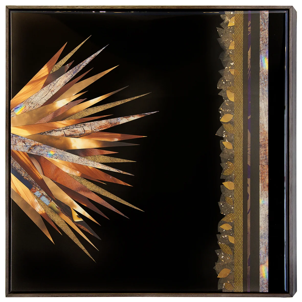 MiaRappel_SunFlux_2011.jpg
