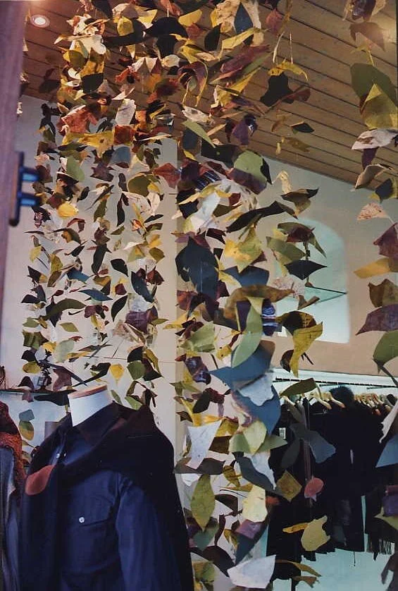 leaves.jpg