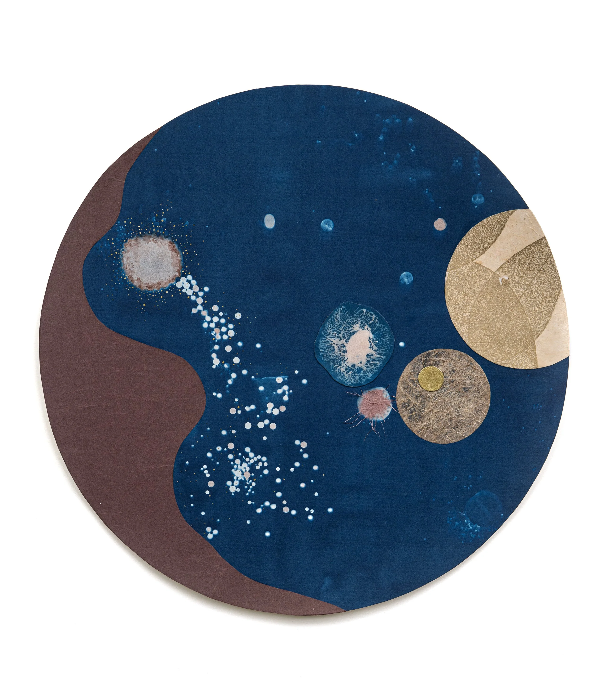 DSC09743-Enhanced-NR-2-WEB-RGB copy.jpg