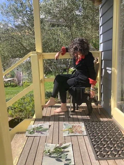 Harnessing moments of sunshine for cyanotype experiments 🔅..... gathering posies, seeing what stories emerge from all these different plants 🌼