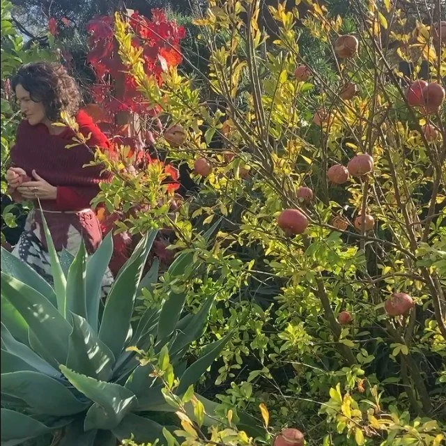 We moved to Mount Martha about 12 years ago. Our lovely house was small and un renovated ( still is ), and the garden quickly became the heart of our home 🌸.

It&rsquo;s where we play, where we try our hand at growing food, where we hang with friend