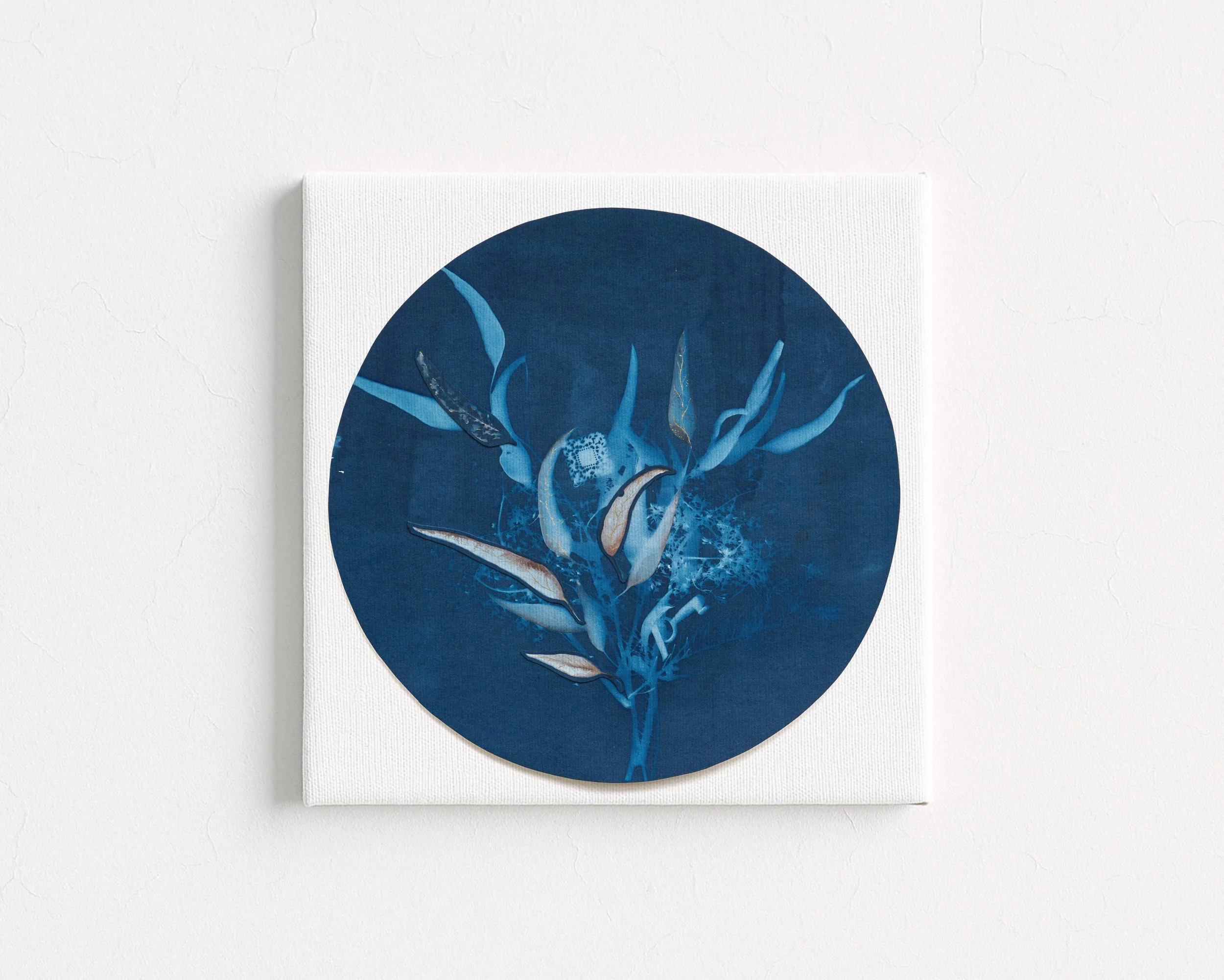 Nature Square Canvas Simple.jpg