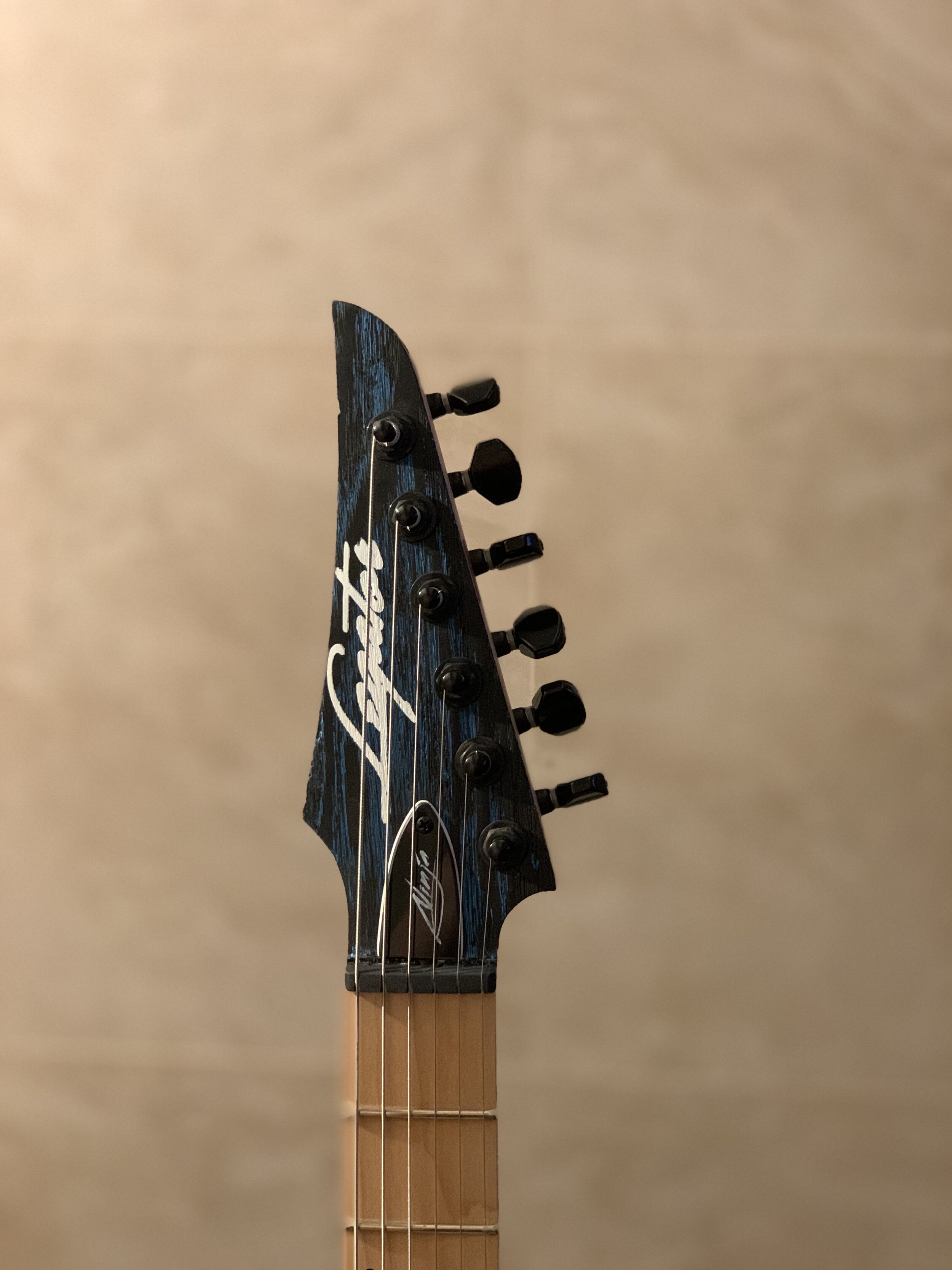 Legator Ninja NRFA Multi-Scale 6-String — Wild Guitar Collection