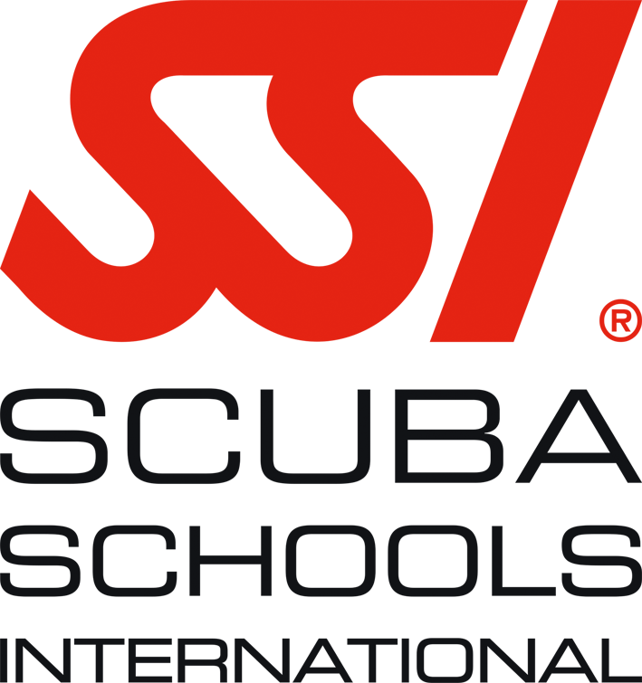 logo_ssi_transparent.png