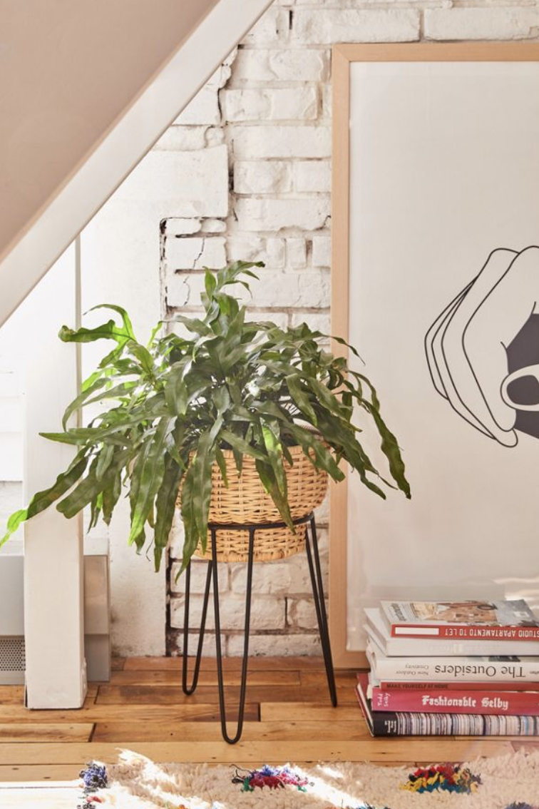 WICKER PLANTER & STAND
