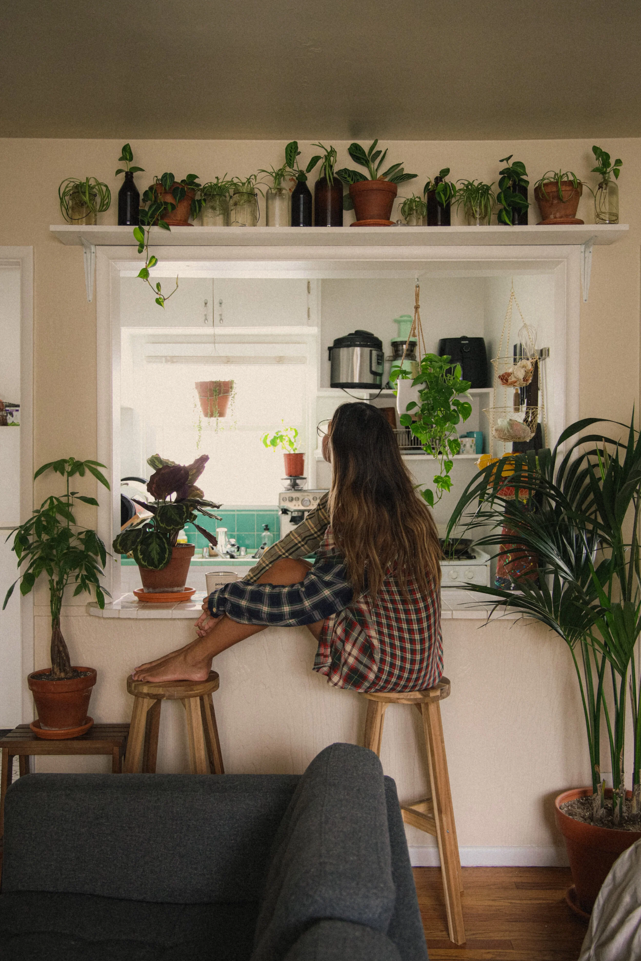 A HOUSEPLANT TOUR