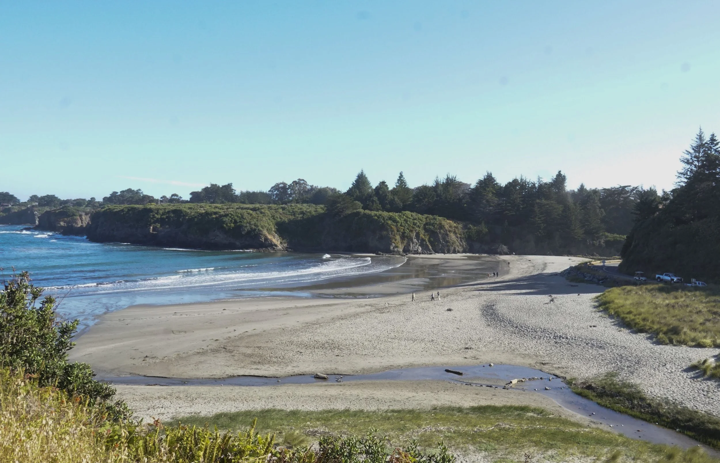  Restoration sites are strategically identified and targeted throughout the California coast 
