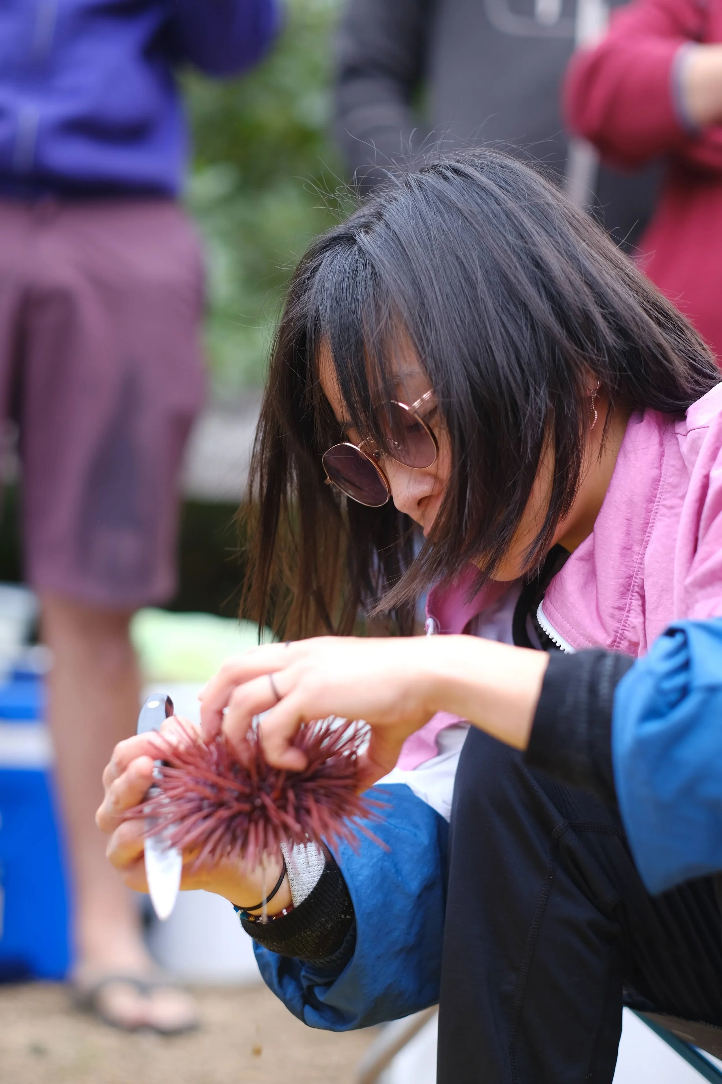  Our design scientists transform sea urchins into high performing marble stone using our proprietary technology.  