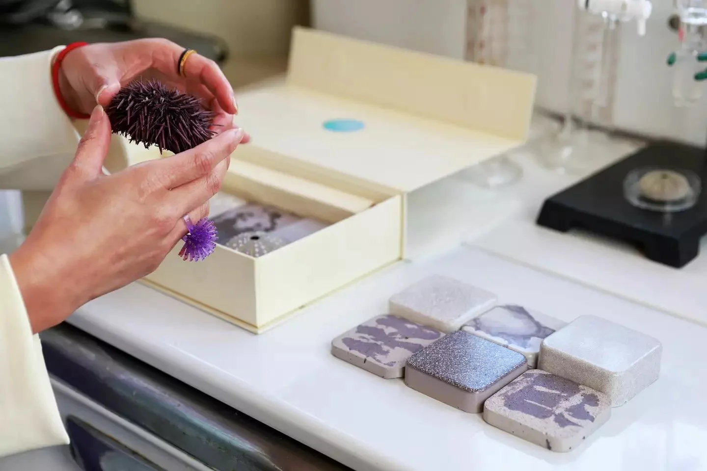 Can turning purple urchins into kitchen countertop save California’s seafloor?