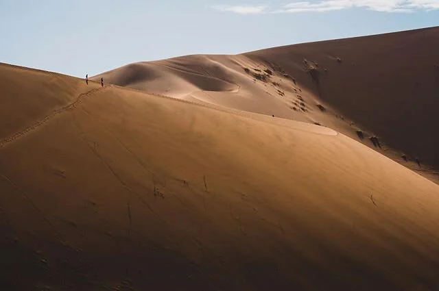 Stand out from the crowd