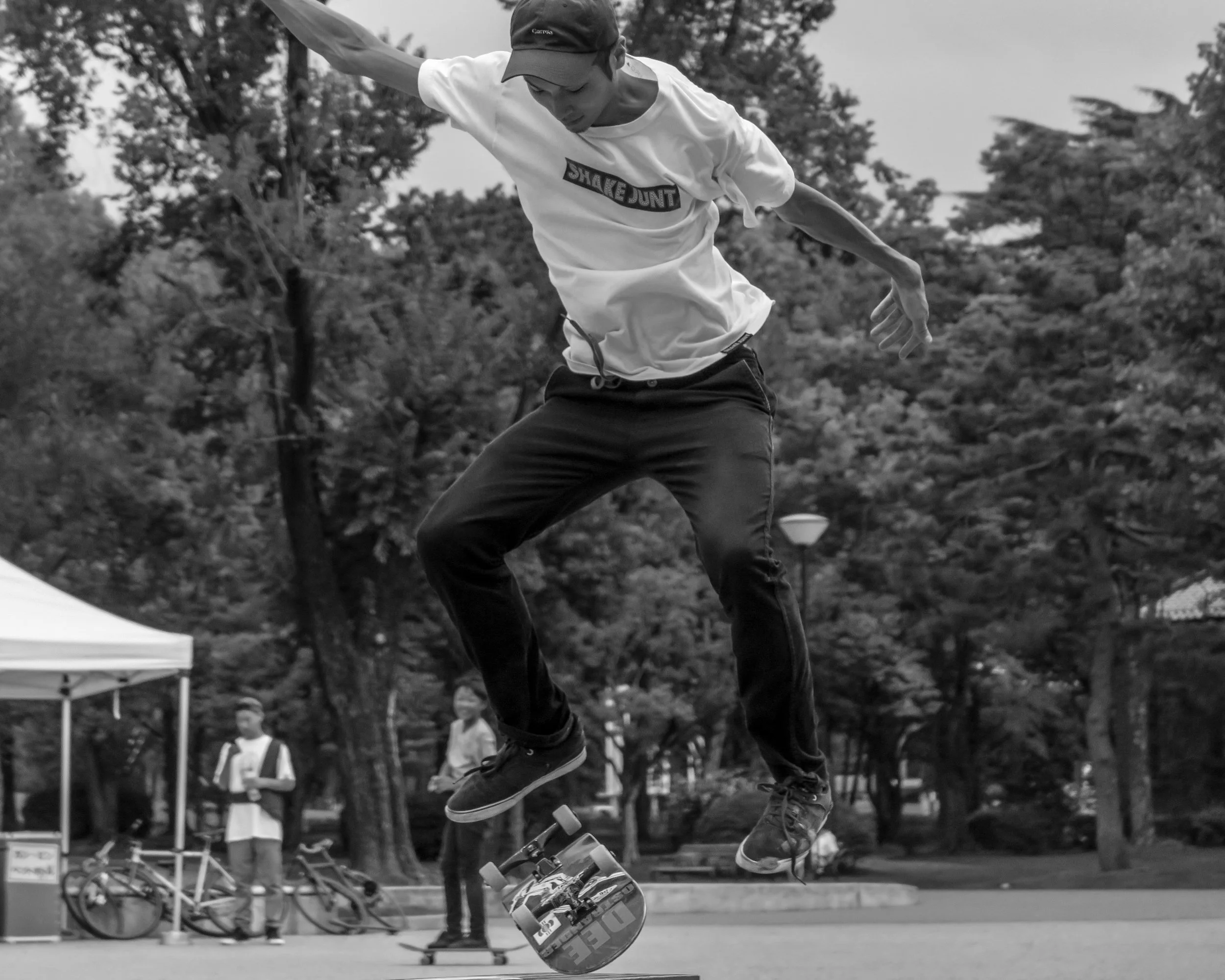 IMG_3183.jpg